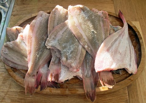 Rødspette med pasta – MATGLEDER