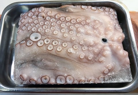 octopus-i-fat